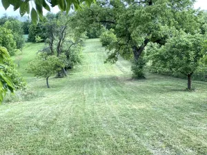 Prodej zahrady, Výčapy, 1968 m2