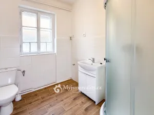 Prodej obchodního prostoru, Znojmo, Horní Česká, 300 m2