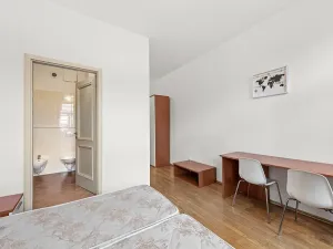 Prodej bytu 2+1, Praha - Žižkov, Bořivojova, 77 m2