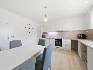 Prodej rodinného domu, Vyškov - Opatovice, 191 m2