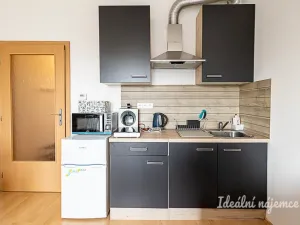 Pronájem bytu 1+kk, Praha - Kunratice, Pod Haltýřem, 28 m2