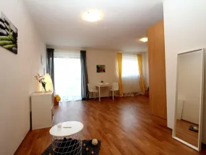 Pronájem bytu 2+kk, Pardubice - Trnová, Jozefa Gabčíka, 55 m2