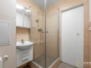 Pronájem bytu 1+1, Brno, Vavřinecká, 35 m2