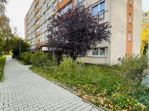 Pronájem bytu 2+kk, Kralupy nad Vltavou, sídl. V Zátiší, 37 m2