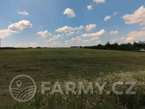 Prodej pole, Trnová, 179051 m2