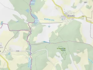 Prodej lesa, Volfířov - Brandlín, 3426 m2