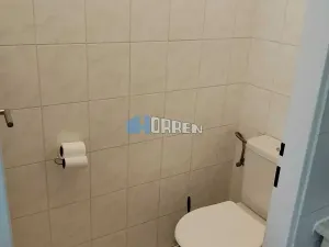 Pronájem bytu 1+1, Praha - Žižkov, Cimburkova, 35 m2