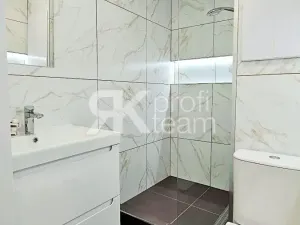 Pronájem bytu 1+1, Ostrava, Proskovická, 40 m2