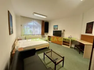 Pronájem bytu 1+1, Vizovice, Lázeňská, 65 m2