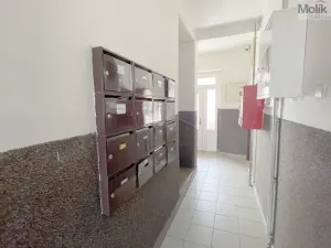Prodej bytu 2+kk, Louny, Poděbradova, 47 m2