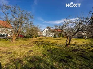 Prodej rodinného domu, Cvikov, Nová, 169 m2