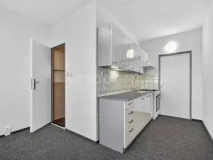 Pronájem bytu 2+1, Plzeň, Elišky Krásnohorské, 60 m2