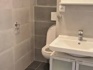 Pronájem bytu 1+1, Brno, Srbská, 35 m2