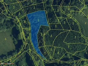 Dražba lesa, Záhoří, 3816 m2