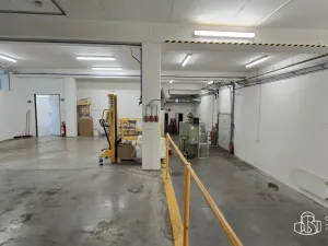 Pronájem výrobních prostor, Sokolov, Trocnovská, 876 m2