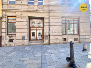 Pronájem obchodního prostoru, Opava, sady Svobody, 270 m2