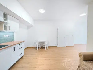 Pronájem bytu 1+kk, Příbram, Špitálská, 40 m2