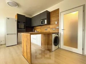 Pronájem bytu 1+kk, Plzeň, Boettingerova, 33 m2