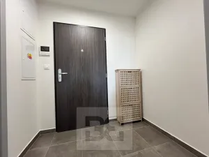 Pronájem bytu 1+kk, Plzeň, Boettingerova, 33 m2