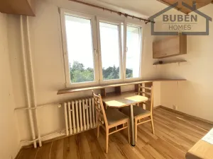 Pronájem bytu 1+1, Planá, Fučíkova, 29 m2