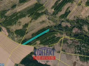 Prodej lesa, Opatov, 11455 m2
