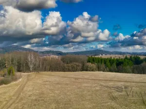 Prodej pole, Kaplice, Linecká, 28355 m2