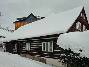 Prodej chaty, Rokytnice nad Jizerou - Horní Rokytnice, 200 m2