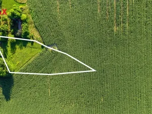 Prodej pozemku pro bydlení, Bačalky, 5076 m2