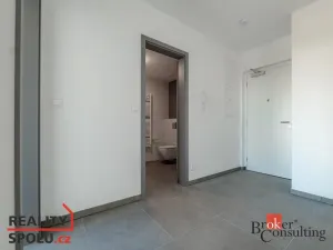 Pronájem bytu 2+kk, Plzeň, U Borského parku, 54 m2