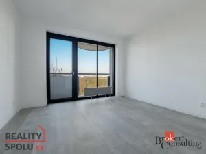 Pronájem bytu 2+kk, Plzeň, U Borského parku, 54 m2