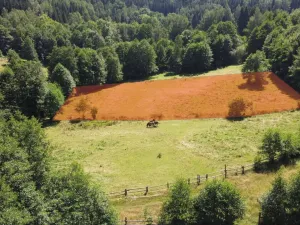 Prodej pozemku pro bydlení, Olešnice v Orlických horách, 3027 m2