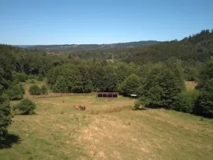 Prodej pozemku pro bydlení, Olešnice v Orlických horách, 3027 m2