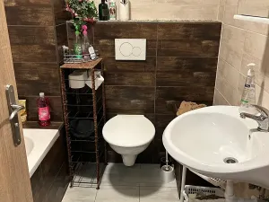 Prodej bytu 1+kk, Brno, Gajdošova, 46 m2