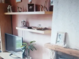 Prodej bytu 2+1, Liberec, Cesta JZD, 46 m2