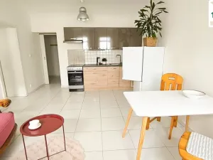 Pronájem bytu 1+1, Františkovy Lázně - Horní Lomany, Americká, 47 m2