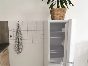 Pronájem bytu 1+1, Františkovy Lázně - Horní Lomany, Americká, 47 m2