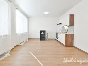Pronájem bytu 1+kk, Brno, Stejskalova, 31 m2