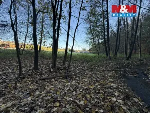 Prodej lesa, Velká Polom, 1901 m2