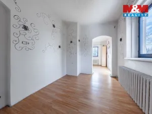 Prodej ubytování, Horní Blatná, Bezručova, 250 m2