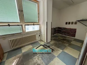 Pronájem obchodního prostoru, Kroměříž, Oskol, 450 m2