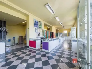 Prodej obchodního prostoru, Plzeň - Jižní Předměstí, Korandova, 246 m2