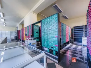 Prodej obchodního prostoru, Plzeň - Jižní Předměstí, Korandova, 246 m2