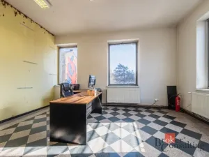 Prodej obchodního prostoru, Plzeň - Jižní Předměstí, Korandova, 246 m2