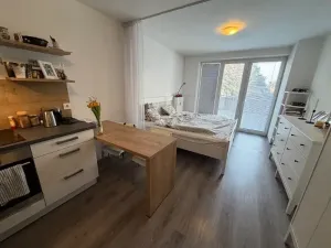 Pronájem bytu 1+kk, Jihlava, Vrchlického, 33 m2