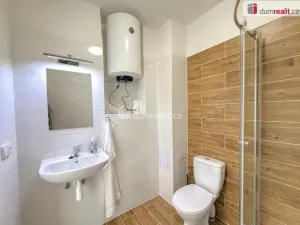 Pronájem bytu 1+1, Ústí nad Labem, Purkyňova, 32 m2