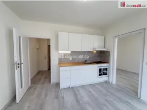 Pronájem bytu 1+1, Ústí nad Labem, Purkyňova, 32 m2