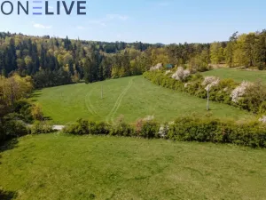 Prodej zahrady, Plasy, 2517 m2