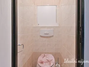 Pronájem bytu 2+1, Brno, Škroupova, 56 m2