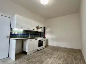 Pronájem bytu 1+1, Ostrava - Přívoz, Hájkova, 50 m2