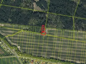 Prodej podílu lesa, Břehy, 1092 m2